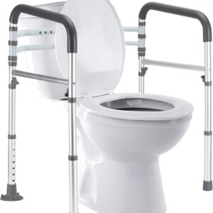 Toilet Safety Rails
